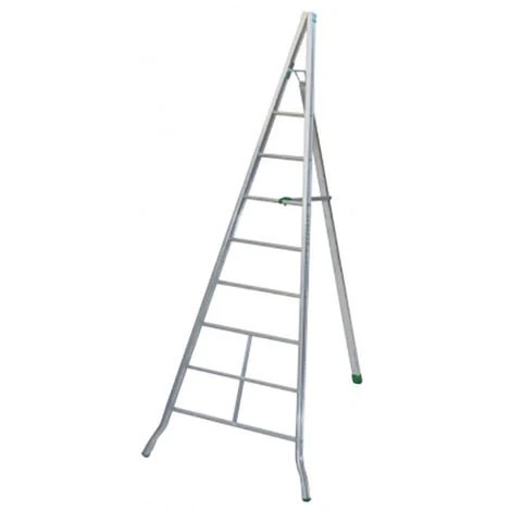 LEITER EXPERTEN - MATISERE Obstbaumleiter Aus Aluminium 3,00m - 8 Sprossen - Spitzer Zulauf - AG300 1 LEITER EXPERTEN - MATISERE Obstbaumleiter Aus Aluminium 3,00m - 8 Sprossen - Spitzer Zulauf - AG300