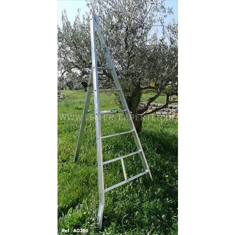 LEITER EXPERTEN - MATISERE Obstbaumleiter Aus Aluminium 3,00m - 8 Sprossen - Spitzer Zulauf - AG300 3 LEITER EXPERTEN - MATISERE Obstbaumleiter Aus Aluminium 3,00m - 8 Sprossen - Spitzer Zulauf - AG300 – Bild 3