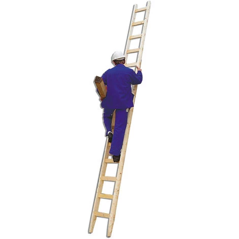 Euroline Holzanlegeleiter 21 Sprossen 2 Euroline Holzanlegeleiter 21 Sprossen – Bild 2