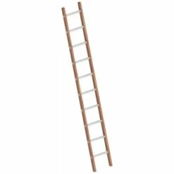 Layher Verbundanlegeleiter 10 Sprossen, Holz-Aluminium-Anlegeleiter, Länge 2.95 M