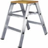 ILLER LEITER Iller Montagetritt, Beidseitig Begehbar Mit Großer Standfläche 2x3 Stufen Und 2,70m AH